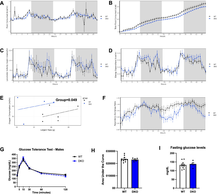 Figure 5—figure supplement 2.