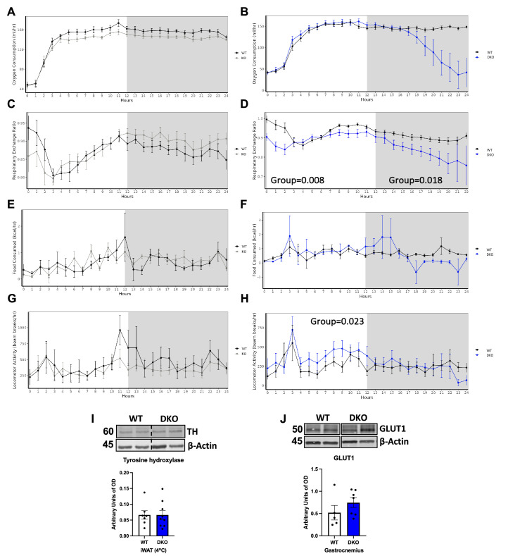 Figure 7—figure supplement 1.