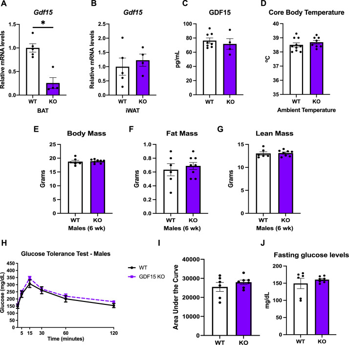 Figure 5—figure supplement 1.