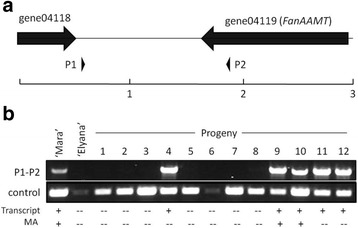 Fig. 8