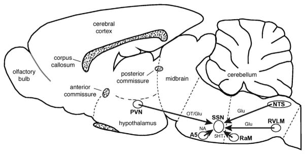 Fig. 10