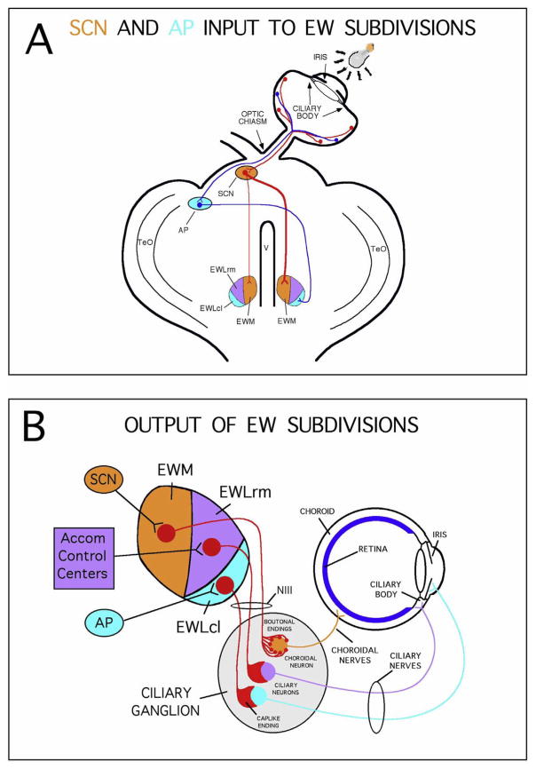 Fig. 16