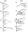 Fig. 9