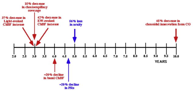 Fig. 21