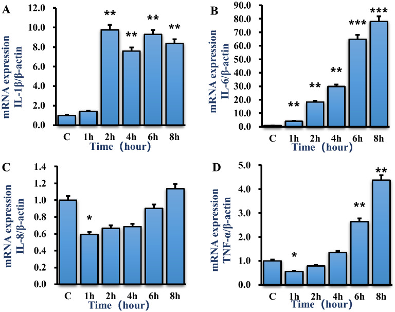 Figure 5