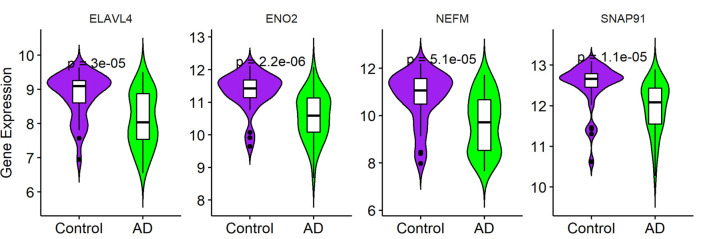 Figure 6