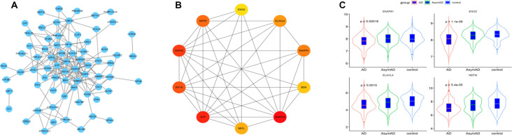 Figure 4