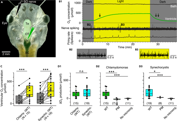 Figure 2