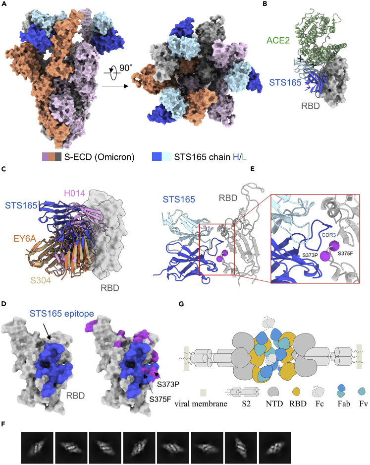 Figure 2