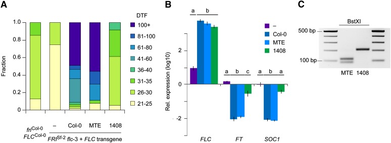 Figure 7 