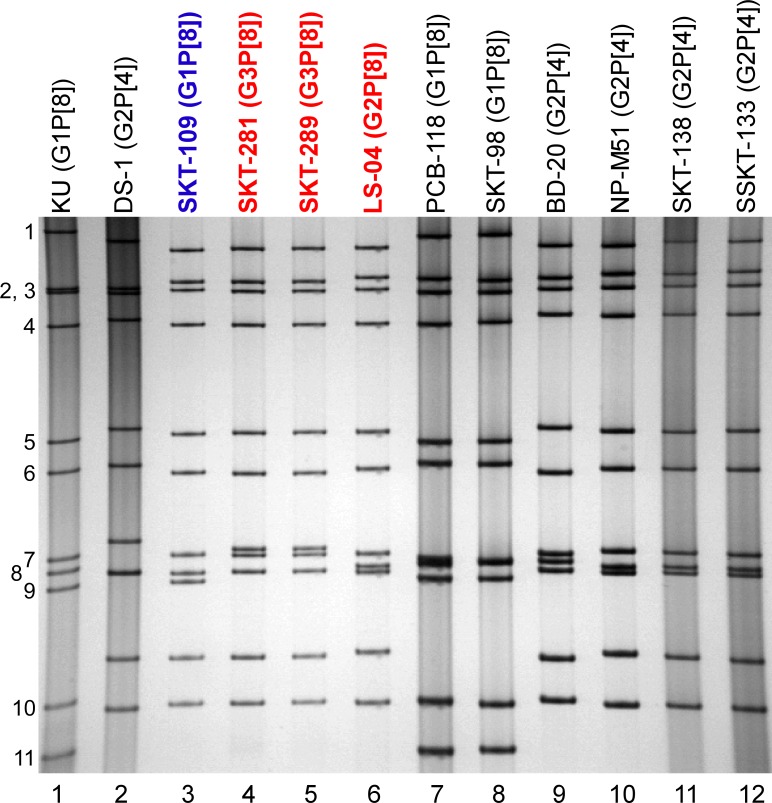 Fig 1