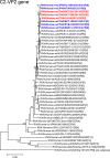 Fig 10