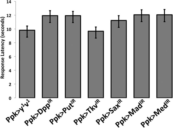 Figure 10.