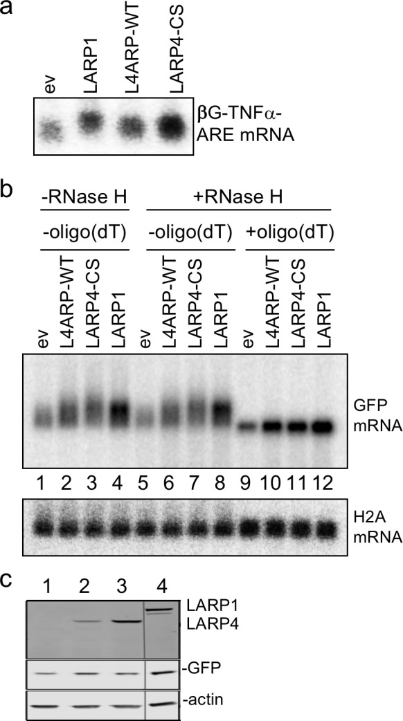 Figure 9.