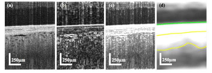 Fig. 10