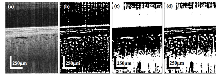 Fig. 11