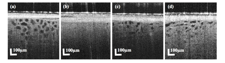 Fig. 9