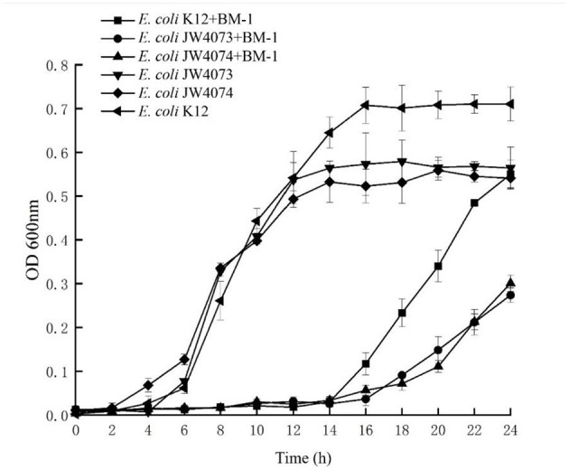 Figure 7