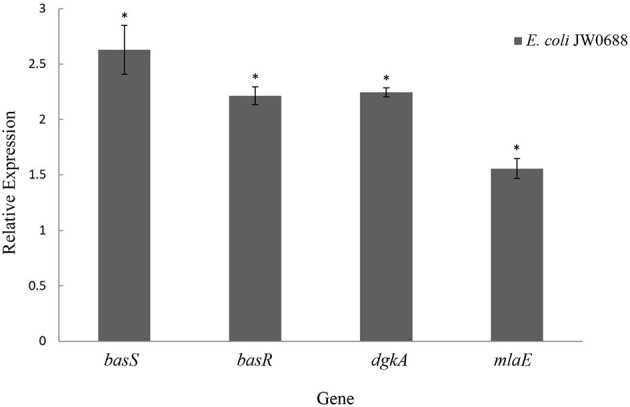 Figure 6