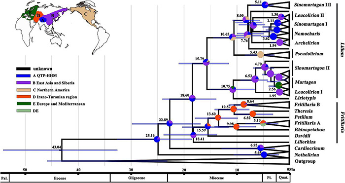 FIGURE 3