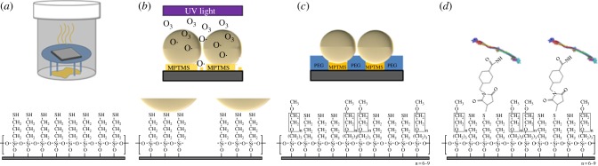 Figure 1.