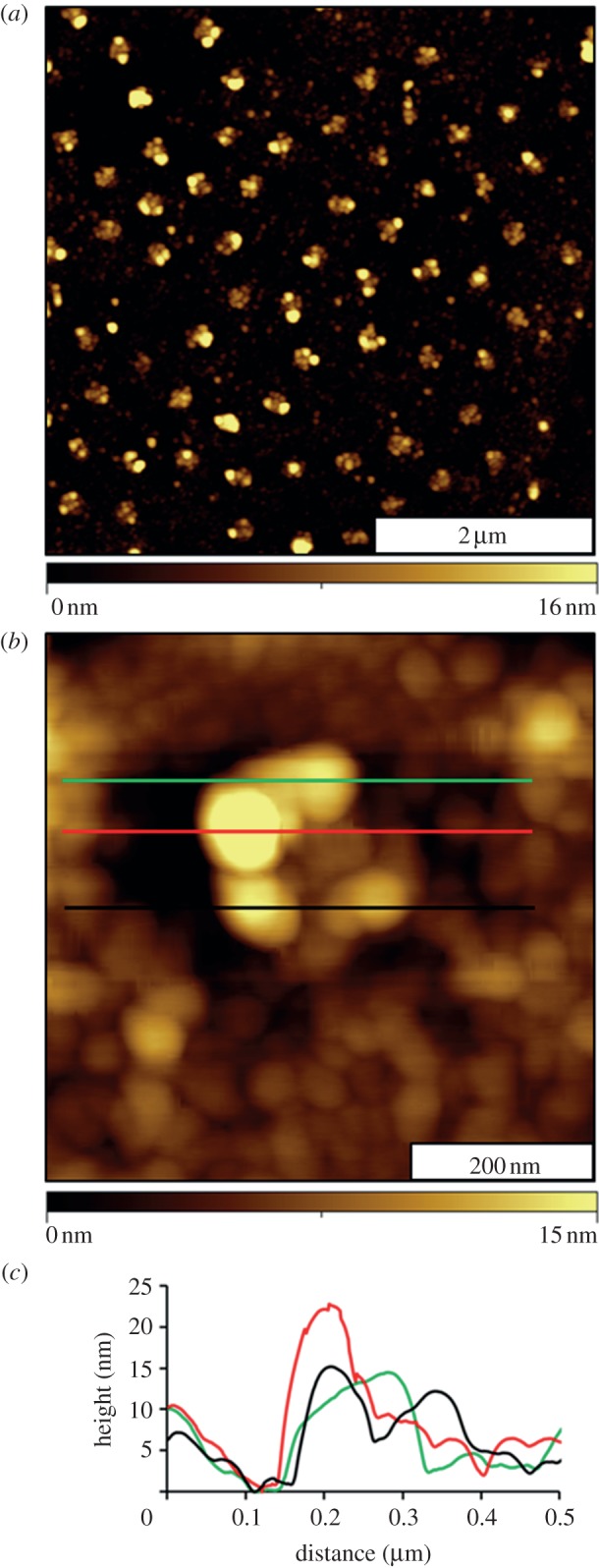 Figure 4.