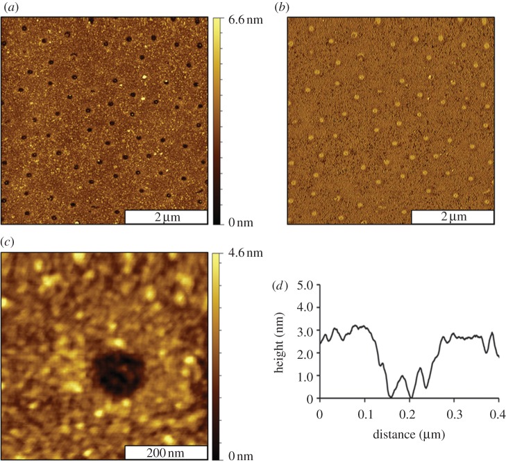 Figure 2.