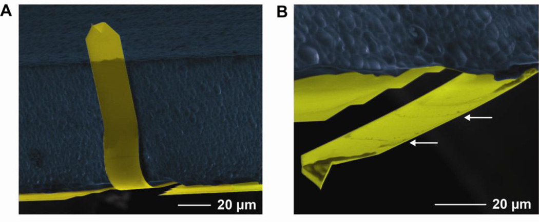 Fig. 9