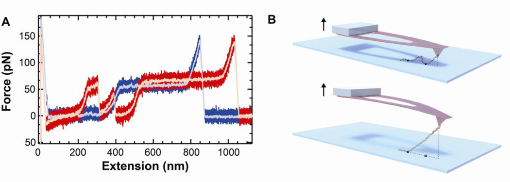 Fig. 10