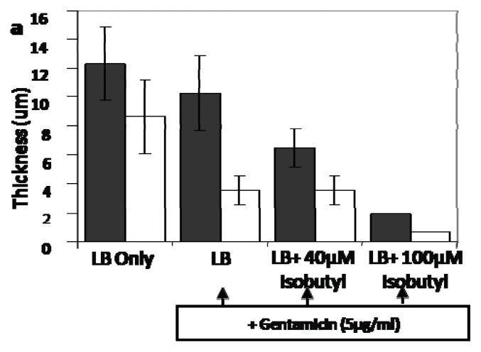 Figure 22