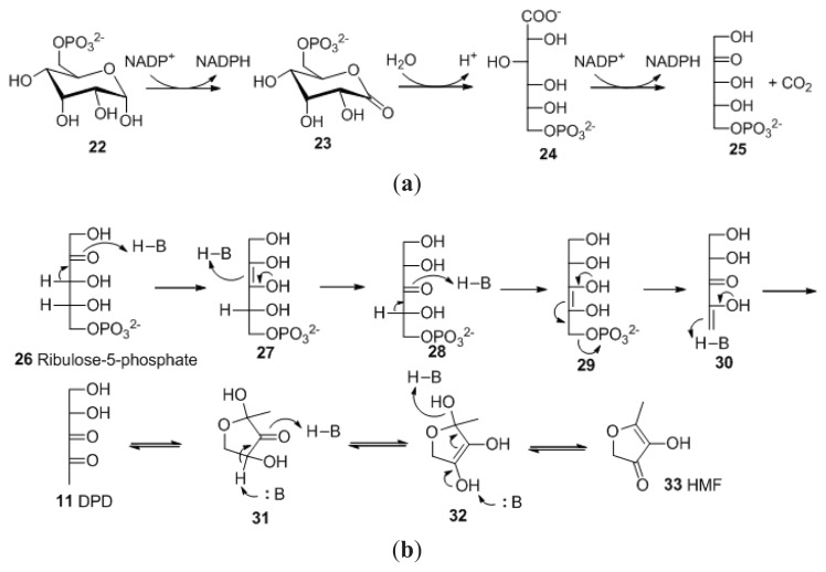 Scheme 2