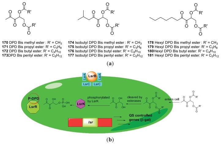 Figure 25