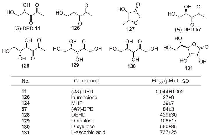 Figure 17