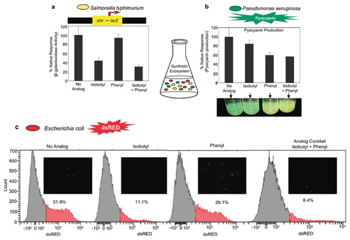 Figure 21