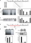 FIG 6
