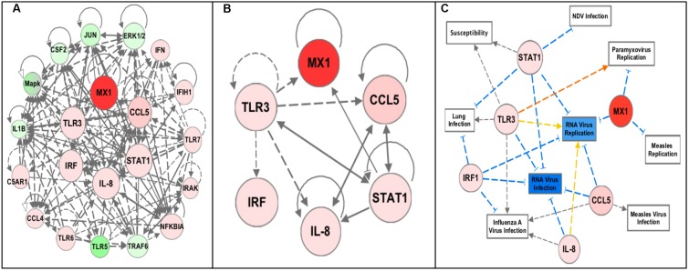 FIGURE 2