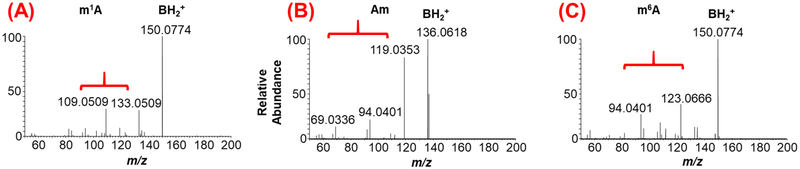 Figure 4: