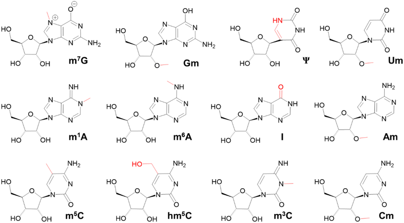 Figure 1: