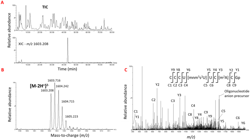 Figure 5: