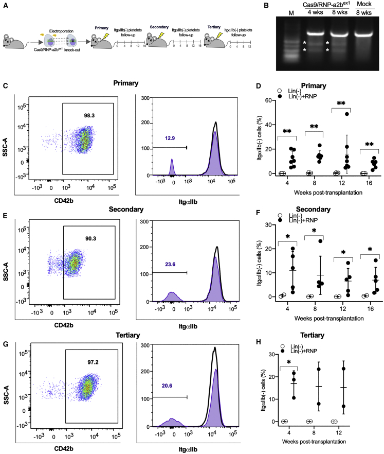 Figure 1