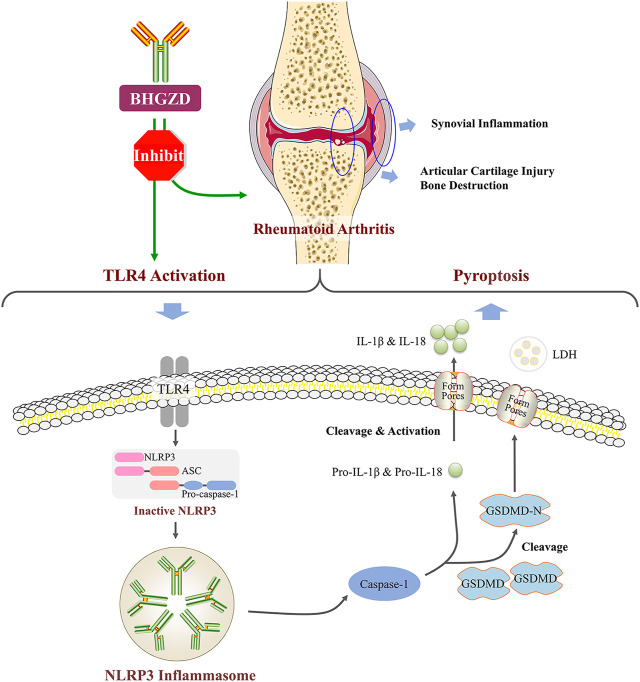 FIGURE 6