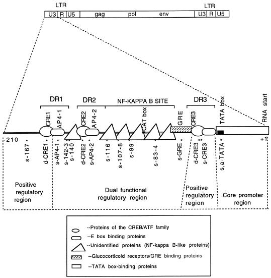 FIG. 6