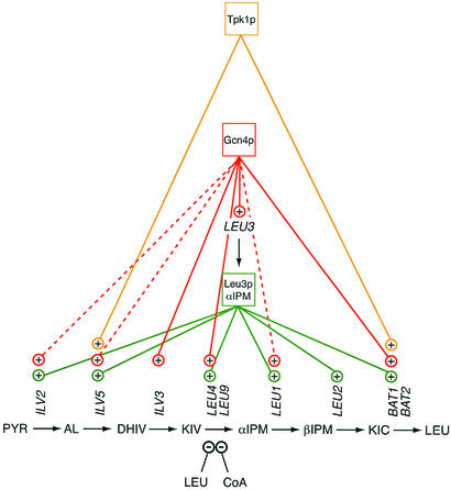 FIG. 4.