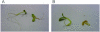 FIG. 1.