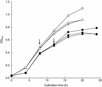 Fig. 1