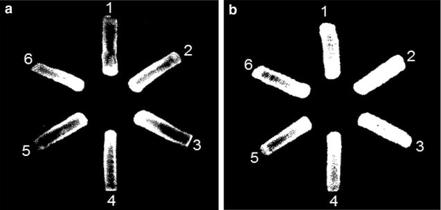 Fig. 5