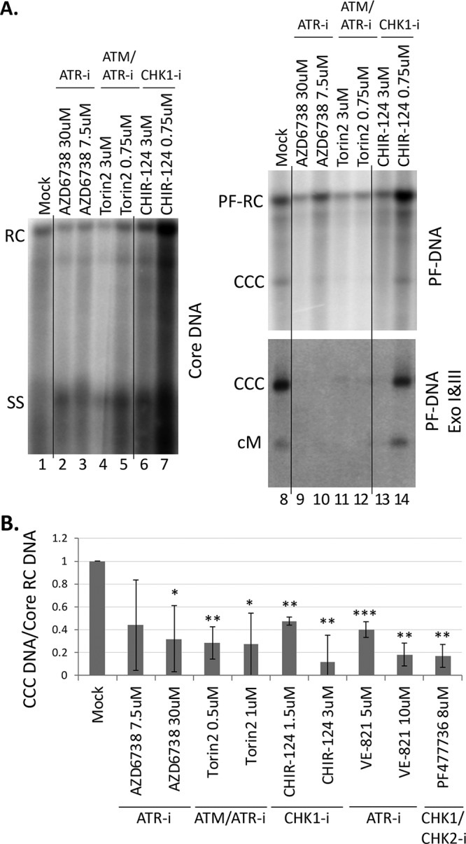 FIG 3