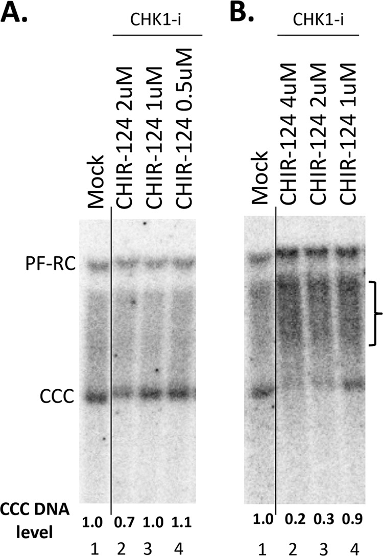 FIG 6