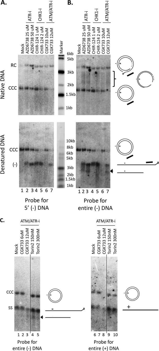 FIG 8