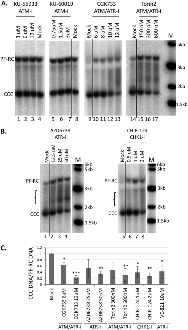 FIG 2